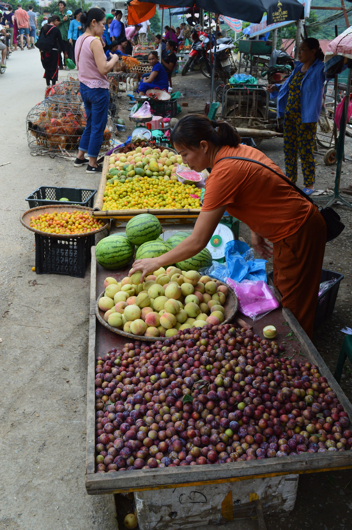 Marché de Bao Lac